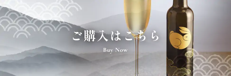 ご購入はこちら