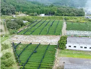 綾部市