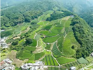 和束町