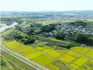 京田辺市