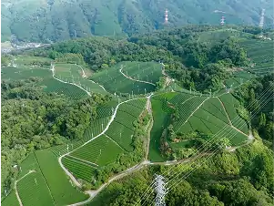木津川市