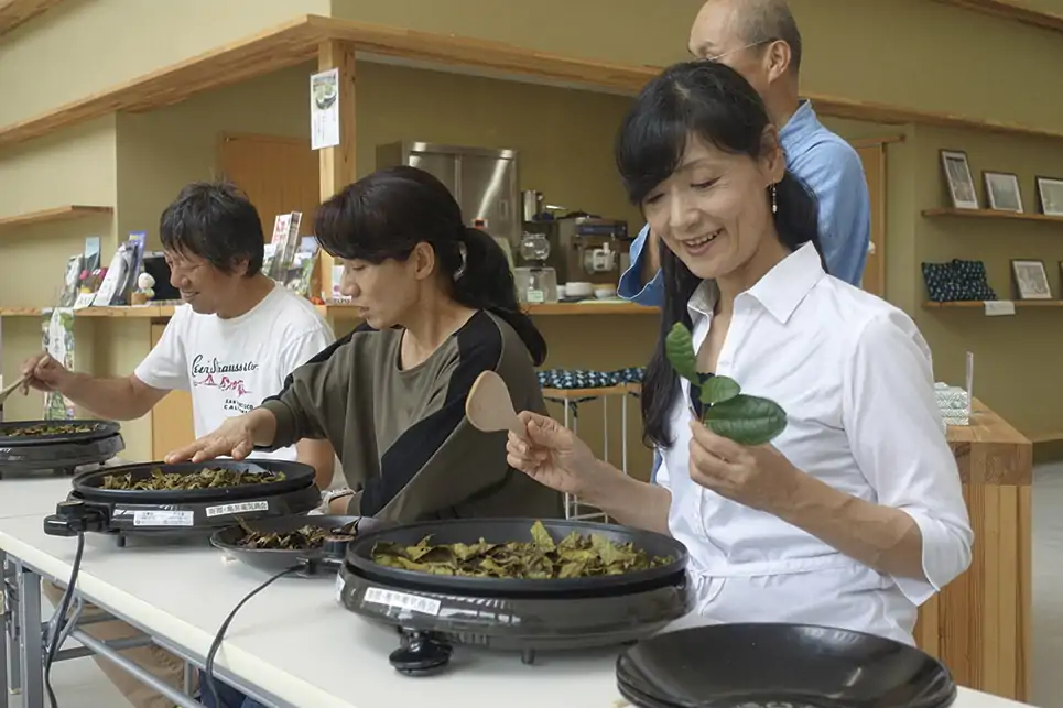 宗円交遊庵やんたん