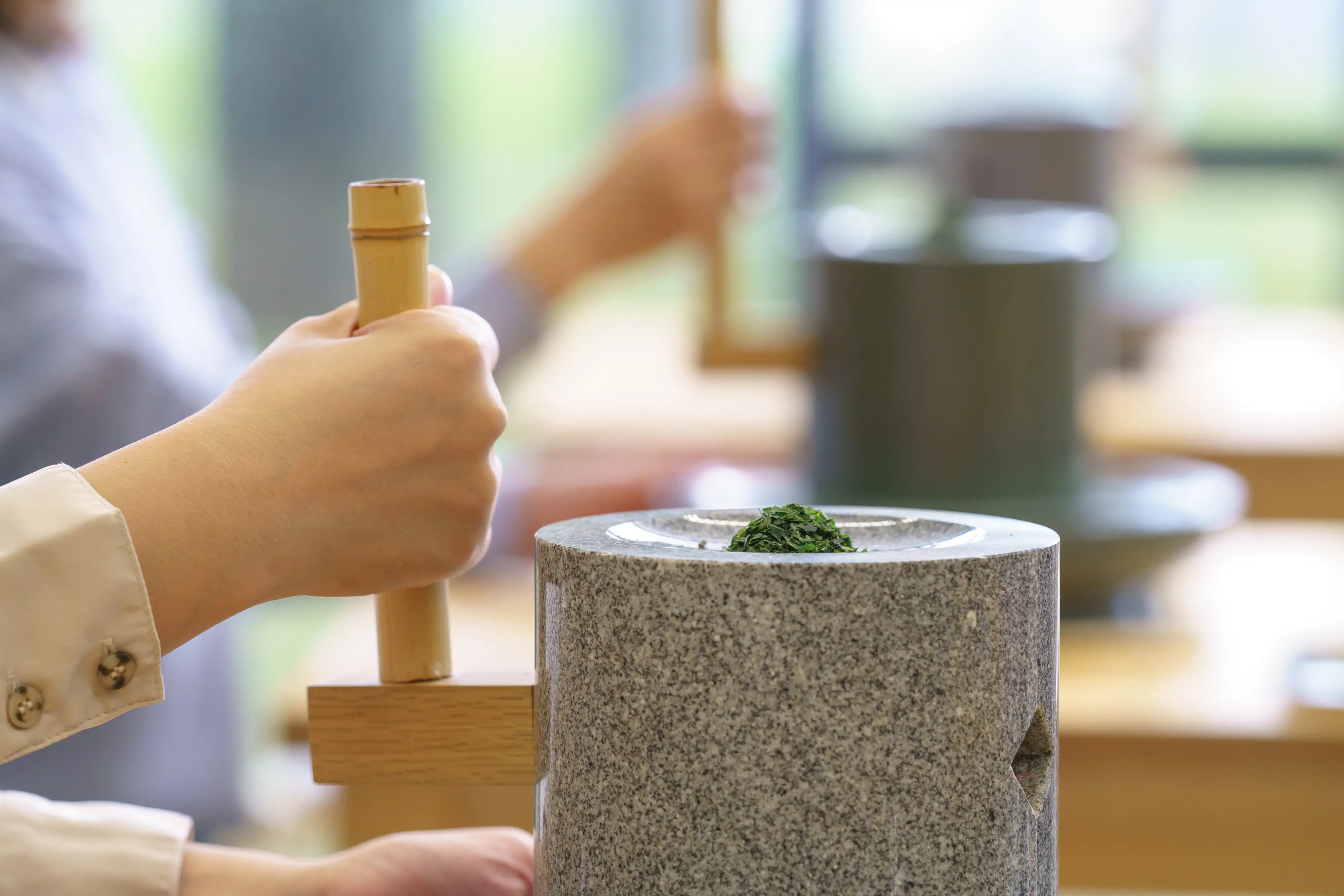 福寿園 CHA遊学パーク
