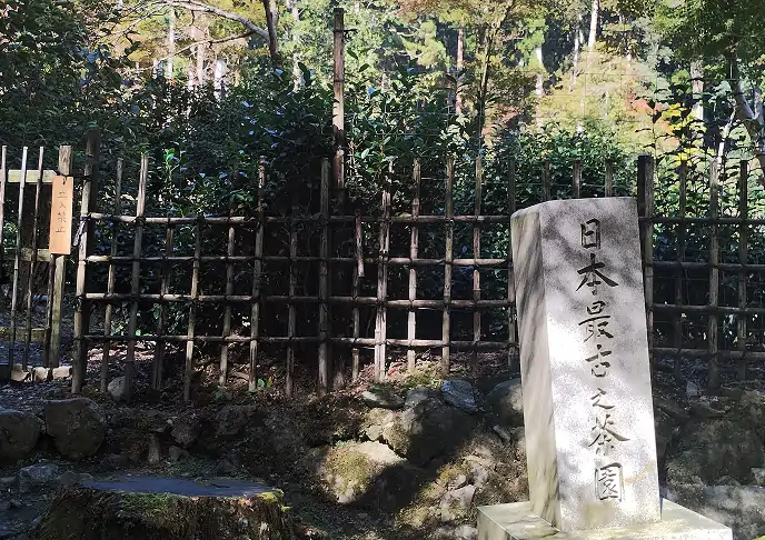 宇治茶の歴史と文化