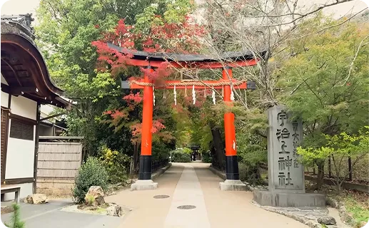 世界遺産 宇治上神社