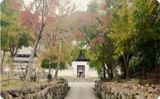 興聖寺